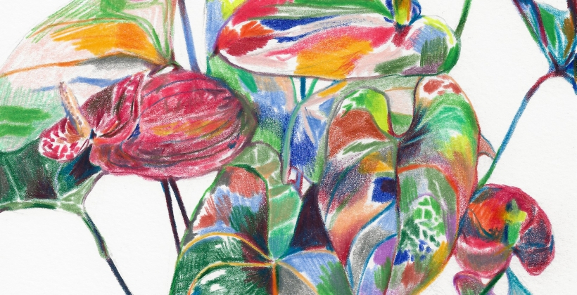 Anthurium-820x420.jpg