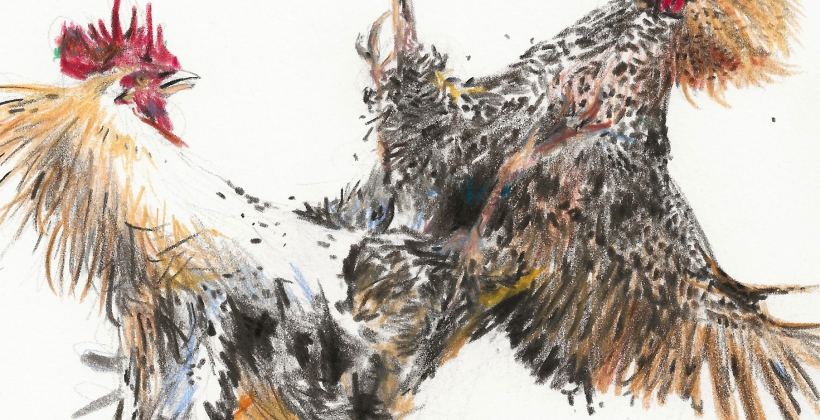 Cocksfight-820x420.jpg