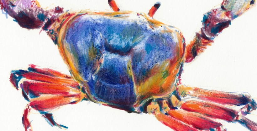 Granchio-820x420.jpg