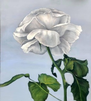 Silvia Zambon “La Rosa Bianca”