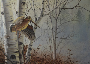 Andrea Boscaro "Beccaccia nel bosco"