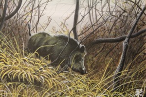 Andrea Boscaro "Cinghiale nella selva"