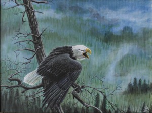 Andrea Boscaro "Il canto dell'aquila"