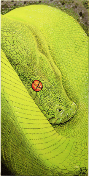 Andrea Boscaro "Pitone verde"