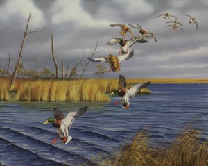 Andrea Boscaro "Volo di germani"