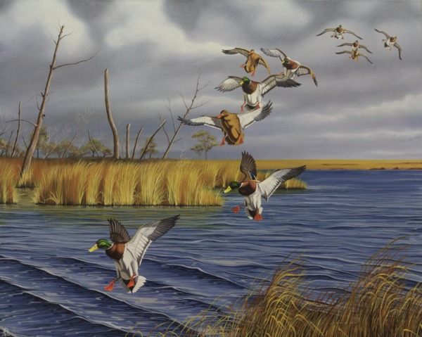 Andrea Boscaro "Volo di germani"